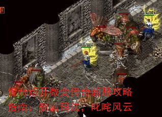 ¿΢䴫·ָϣư귨߳