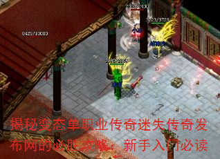 رְ̬ҵʧ淢ıʤԣűض