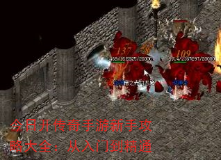 տֹԴȫŵͨ
