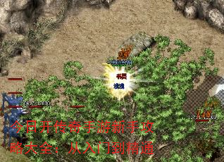 տֹԴȫŵͨ