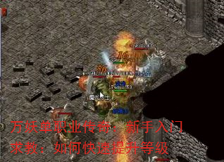 ְҵ棺̣οȼ