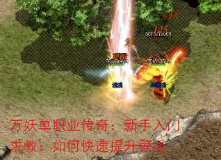 ְҵ棺̣οȼ