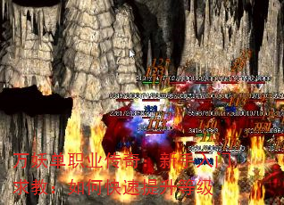 ְҵ棺̣οȼ