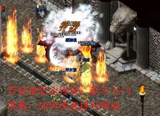 ְҵ棺̣οȼ