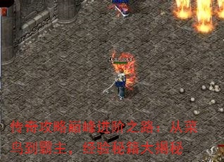 湥۷֮·Ӳ񵽰ؼ