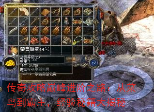 湥۷֮·Ӳ񵽰ؼ
