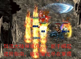 귨½ƣָϣƾ
