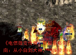 ΢䴫桷ռָϣС׵һ