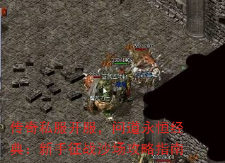 ˽ʵ㾭䣺սɳָ