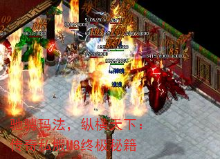 ۳귨ݺ£˽M8ռؼ