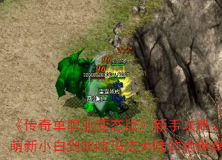 浥ְҵ̬桷ֹԣС׵߳귨½ľ