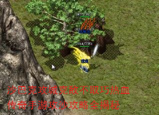 ɳͿ˹ǿ˵вȡѪιɳȫ