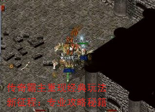 ־淨̣רҵؼ