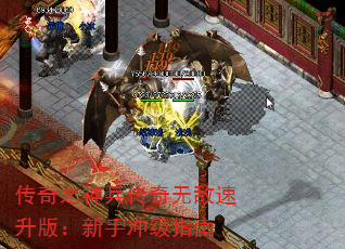 ֮޵棺ֳ弶ָ