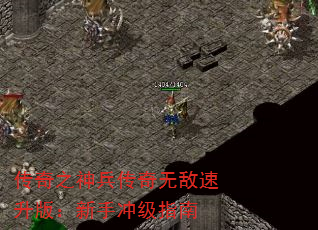 ֮޵棺ֳ弶ָ