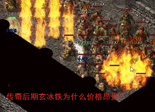 Ϊʲô۸񰺹