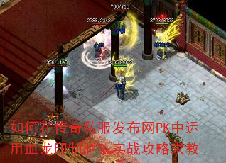 ڴ˽PKѪӡʤʵս