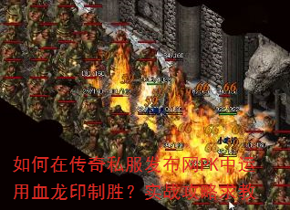 ڴ˽PKѪӡʤʵս