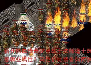 ¿ѪSFսʿʦʿѡװҪעЩԣԼ۱װοٻȡ