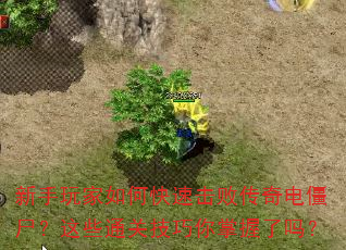 οٻܴ罩ʬЩͨؼ
