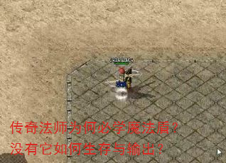 淨ʦΪαѧħܣû