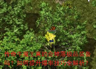 ţħĻ伫Ʒװʼȫ