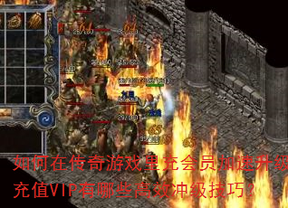 ڴϷԱֵVIPЩЧ弶ɣ