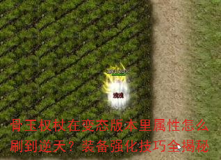 Ȩڱ̬汾ôˢ죿װǿȫ