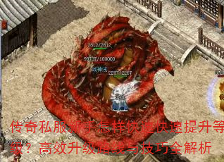 ˽ٿȼЧ·뼼ȫ