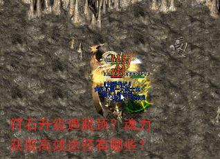 ʯƿȡЧ;Щ