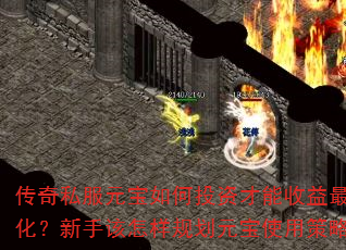 ˽ԪͶʲ󻯣ָ滮Ԫʹòԣ