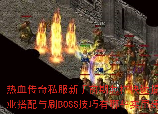 Ѫ˽ǰսְҵˢBOSSЩʵý飿