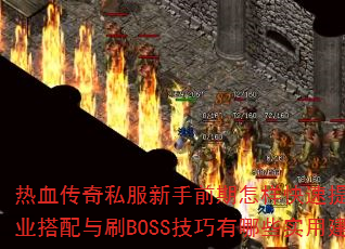 Ѫ˽ǰսְҵˢBOSSЩʵý飿