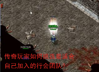 ѡʺԼлŶӣ
