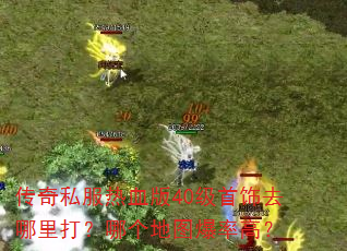 ˽Ѫ40ȥĸͼʸߣ