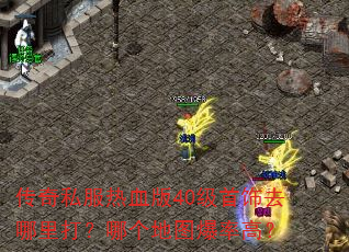˽Ѫ40ȥĸͼʸߣ