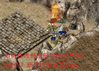 ڴ˽пPKɣֽױؿ