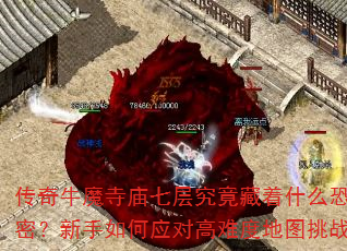 ţħ߲㾿ʲôֲܣӦԸѶȵͼս