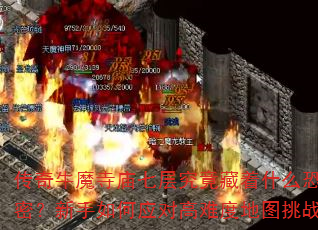 ţħ߲㾿ʲôֲܣӦԸѶȵͼս