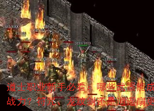 ʿְҵֱؿЩܳΪʿǿս䡢ƽңȸ