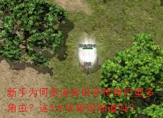 ΪθʺͶǳ棿5֪