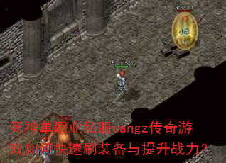 ְҵ˽wangzϷοˢװս