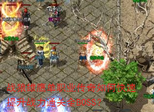սӥְҵοսͨȫBOSS