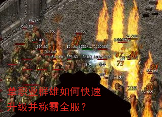 ְҵȺοưȫ