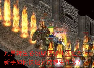תȡƾ֤οת
