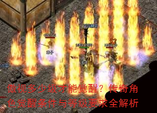 ӶټܾѣɫȼҪȫ
