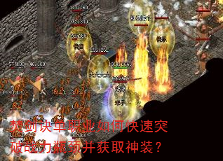 ٽְҵοͻսƿȡװ
