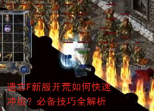 F·οٳ弶رȫ