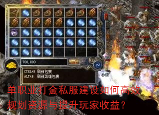 ְҵ˽θЧ滮Դ棿