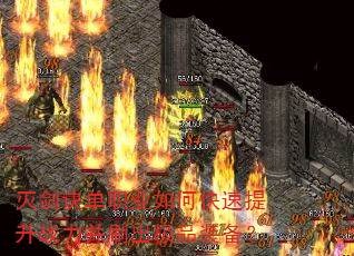 𽣾ְҵοսˢƷװ